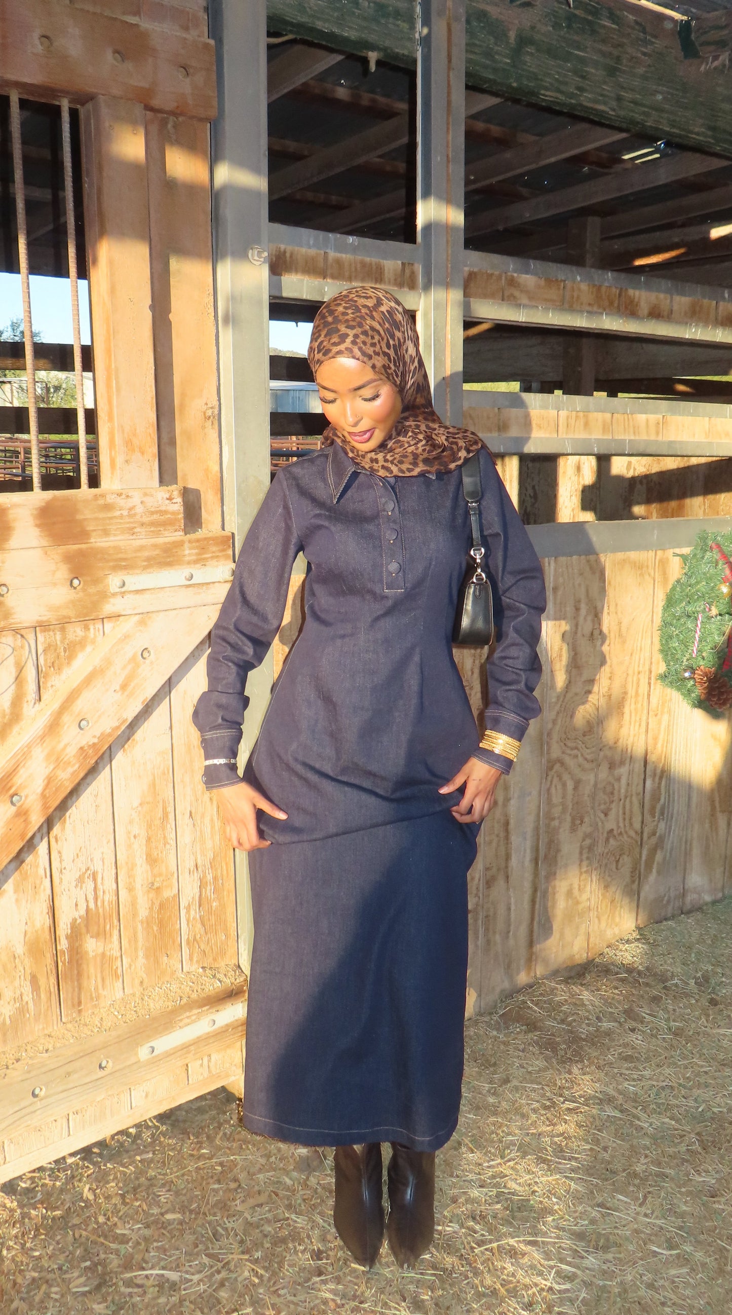 Sedona Denim Dress